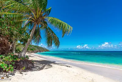 Guadeloupe Pointe-à-Pitre - Porte d'Entrée des Caraïbes